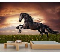 BEQUTIY Majestic Black Horse Rearing Under Sunset Sky Wall Mural - Dramatic Equestrian Backdrop for Living Room Decor 280x200cm (Not Self-Adhesive)