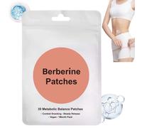 Ber-berin Patches, Healthy Shape Support, Body Shape Aid Stickers, Natural Ingredients, 30pc/pack, for Daily Use, Nighttime (1pc)
