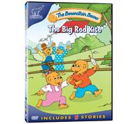 BERENSTAIN BEARS: THE BIG