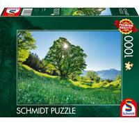 Berg-Ahorn im Sonnenlicht, St. Gallen, Schweiz: Puzzle Standard 1000 Teile