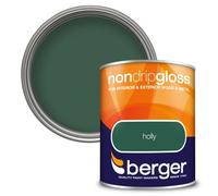 Berger Outdoor Acrylic Paint - Non Drip Gloss - 750ml - Interior Walls - Holly