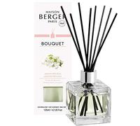 Berger Perfume, Reed Room Diffuser in a Clear Cube Precious Jasmine CUBE JASMIN PRÉCIEUX TRANSPARENT transparent
