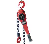 Berger + Schröter 60589 Double Ratchet Chain Hoist 1000 kg GS