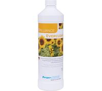 Berger-Seidle L 93 Everclear, Parquet and Wood Floor Care, Glossy, 1 Liter
