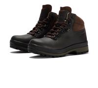 Berghaus Hillmaster ll GTX Male Adult Brown
