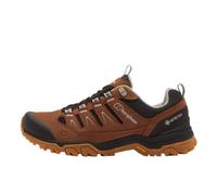 Berghaus Men's Fellmaster Active Gore-TEX Waterproof Walking & Hiking Shoe | Vibram Outsole, OrthoLite Footbed, Internal TPU Shank, Anti-Clog Technology, Hill Walking, Outdoors Footwear