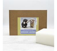 Bergin & Bath Beginner Needle Felting Kit, Spring Lambs. Make Two Woolly Sheep. Easter Adult Craft Kit (with Felting Mat)