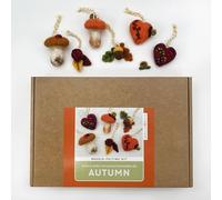 Bergin & Bath Needle Felting Kit - Autumn Decorations, Learn to Make a Set of Cute Autumnal Forest Delights for The Fall. Craft kit for Adults. Toadstools, Berries, Acorns, Leaves.