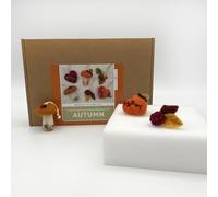 Bergin & Bath Needle Felting Kit - Autumn Decorations, Learn to Make a Set of Cute Autumnal Forest Delights for The Fall. Craft kit for Adults. Toadstools, Berries, Acorns, Leaves. (with Felting Mat)