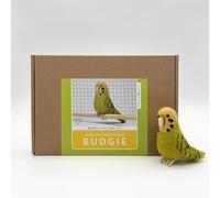 Bergin & Bath Needle Felting kit Budgie. Make a Green Budgerigar from Wool. Beginners DIY Felted Bird Project. A Perfect Creative Gift for Bird Lovers!