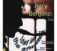 Bergonzi, Jerry - Lost in the Shufle