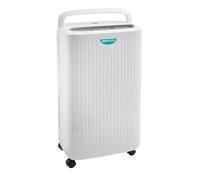 Bergstrom 12L Dehumidifier with 2L Tank, LED Screen & Washable Filter - Quiet Portable Moisture Extractor for Damp, Condensation, Mould & Laundry Drying - Rooms up to 30sqm
