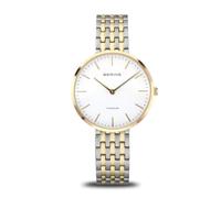 BERING Analog-Digital hBG365