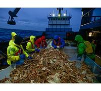 Bering Sea Crash