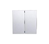Berker B.1/B.3/B.7 Glass Double Rocker B.KWADRAT 16231404