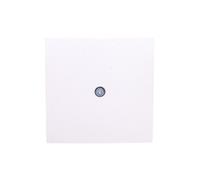 Berker S.1/B.3/B.7 Glass Element Berker B.Square 10198989