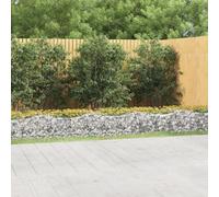 Berkfield Arched Gabion Raised Bed 600X50X50 Cm Galvanised Iron