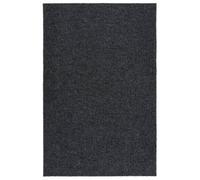Berkfield Dirt Trapper Carpet Runner 100X150 Cm Anthracite
