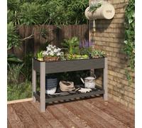 Berkfield Garden Raised Bed With Shelf Grey 120X50X75 Cm Wpc