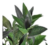 Berkfield Home Artificial Bay Tree with Pot 120 cm in Green Berkfield Home Green