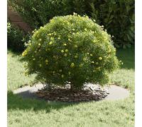 Berkfield Home Lush Galvanised Metal Planter Galvanised Galvanised Metal Large in Silver Berkfield Home Silver