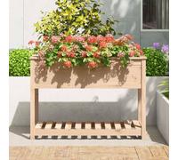 Berkfield Home Planter with Shelf 111.5x54x81 cm Solid Wood Pine in Natural Berkfield Home Natural 111.5x54x81 cm