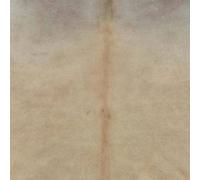 Berkfield Home Real Cowhide Rug Beige 180x220 cm | Size: Medium Berkfield Home Beige Medium
