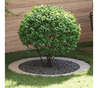 Berkfield Home Stainless Steel Planter Stainless Steel Large in Silver Berkfield Home Silver