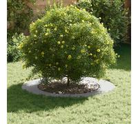 Berkfield Home Stunning White Planters White Plastic Large Collapsible Floor Planters Berkfield Home White