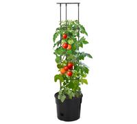 Berkfield Home Tomato Grower Anthracite Ã˜29.5x115 cm Polypropylene in Black | Size: 29.5x115 cm Berkfield Home Black 29.5x115 cm