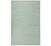 Berkfield Outdoor Flatweave Rug 100X200 Cm Turquoise