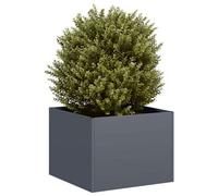 Berkfield Planter Anthracite 40X40X30 Cm Steel