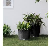 Berkfield Planter With Removable Inner Anthracite 15 / 15.3 L Pp Rattan