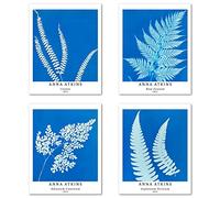 Berkin Arts Wall Art Unframed Prints Giclee Art Paper Set of 4, 8x10 inch Flower Artwork, Office Decoration Botanical Teal Minimalist Nature Illustrations Palm Leaf Frameless Anna Atkins Pictures