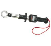 Berkley BGLGDS Big Game Lip Grip With Scale 14" Digital
