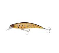 BERKLEY DEX Bullet Jerk 50 mm, 80 mm & 110 mm - Fishing Bait (80 mm Brown Trout)