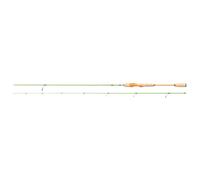 Berkley Flex Trout Spinning Rod - Spin Fishing Rod for Trout, Green
