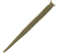 Berkley Gulp!® Saltwater Fat Sandworm; Realistic Soft Plastic Fishing Bait, Saltwater Anglers; Hollow Body for Lifelike Action; Infused with Gulp! Scent; Boat, Shore & Estuary, 10cm, Camo