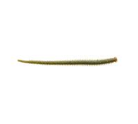 Berkley Gulp!® Saltwater Isome Futomi Fishing Lure | Extreme Scent Dispersion for Bigger Strike Zone | Lifelike Softbait for Sea & Inshore Predator Fishing | Realistic Action & Feel | Bloody