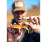 Berkley PowerBait® Cullshad Softbait | Lifelike Action Fishing Bait & Honey Comb Technology | Versatile Predator Lure for Pike, Zander, Trout & Perch | 12.5 cm | 16.8 g | Mixpack Clearwater