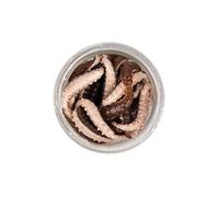 Berkley PowerBait Power Honey Worm Grey Pearl