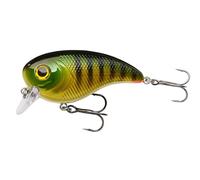 Berkley Pulse Biggie Crankbait Fishing Lure, Shallow Running Hard Bait for Pike and Predator Fishing, Long Casting Floating Lure with Fusion19 Hooks, High Water Displacement Freshwater, 6cm, Perch