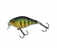 Berkley Pulse Fry Shallow Crankbait | Ultralight Hard Bait for Perch, Trout, Chub & Asp | Finesse Fishing Lure for Shallow Waters | Realistic Design & Tight Wobble for Predator Anglers | 3.8cm, Perch