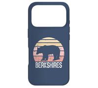 Berkshires Retro Bear Case for iPhone 17 Pro