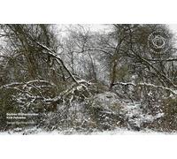 Berliner Philharmoniker - Rachmaninoff: Edition