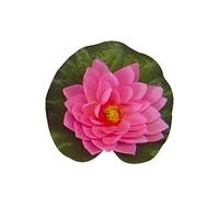 Bermuda Floating Lily Purple