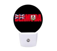 Bermuda Funny Night Light Plug in Wall Auto Sensor LED Nightlight for Hallway Bedroom Kitchen Stair