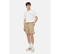 Bermuda shorts Dickies Pelican Rapids Beige S