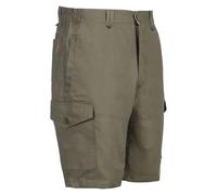 Bermuda shorts Idaho Road Vert 44