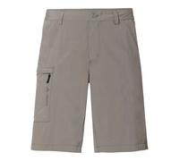 Vaude Farley V Shorts Grey 54 Men